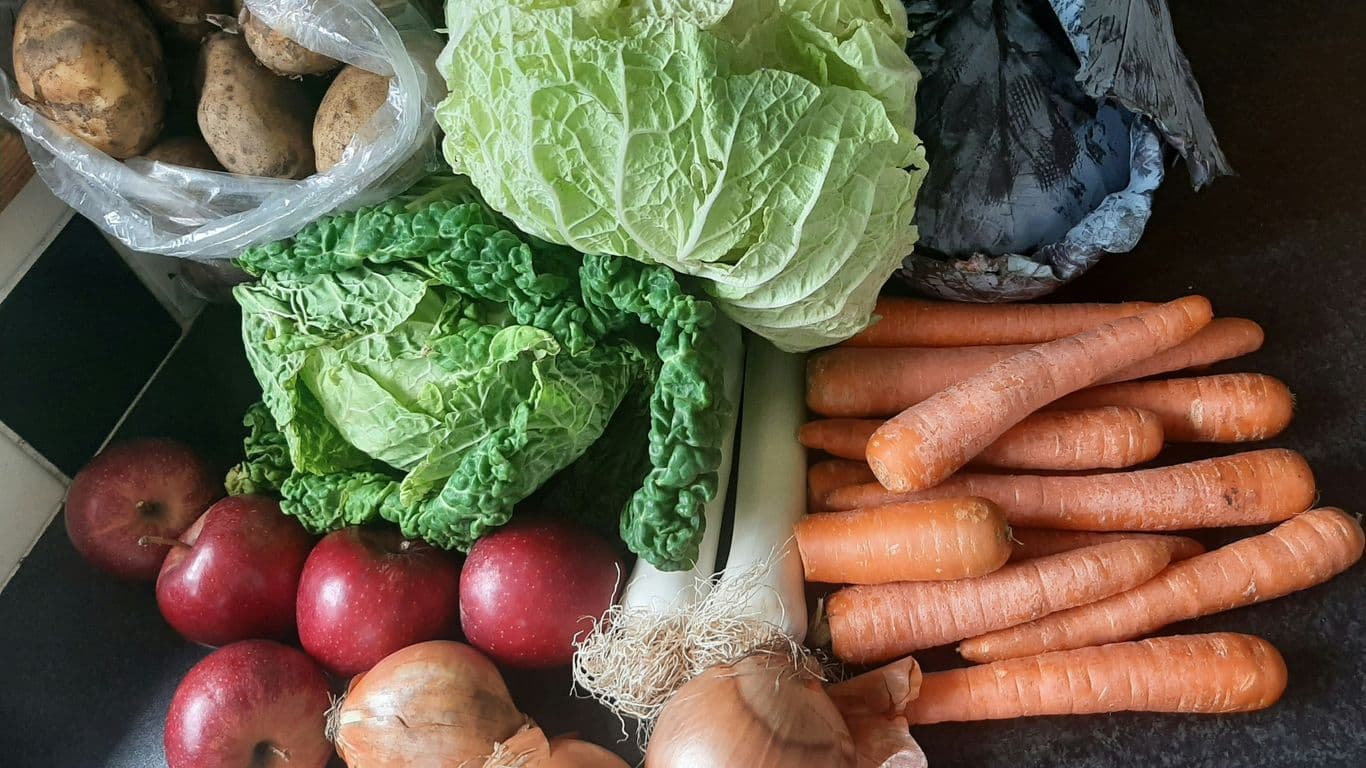 Alkaline Diet Myths: What’s Real and What’s Not