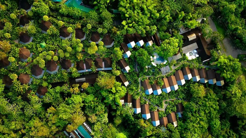 Nayara Resorts cover.jpg