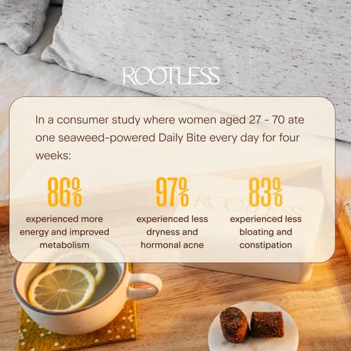 The Daily Bites Variety Pack