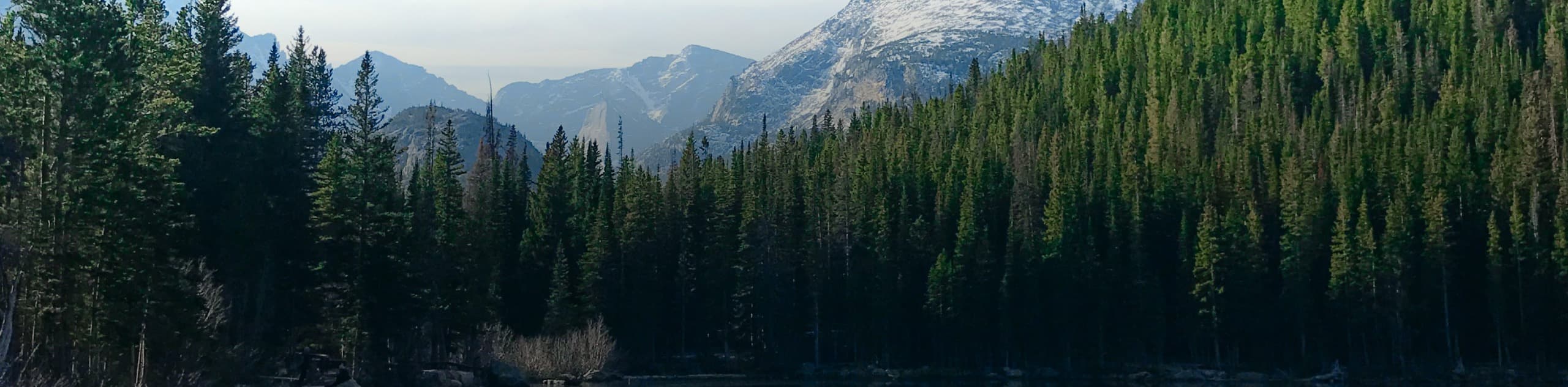 Longevity Health cover image