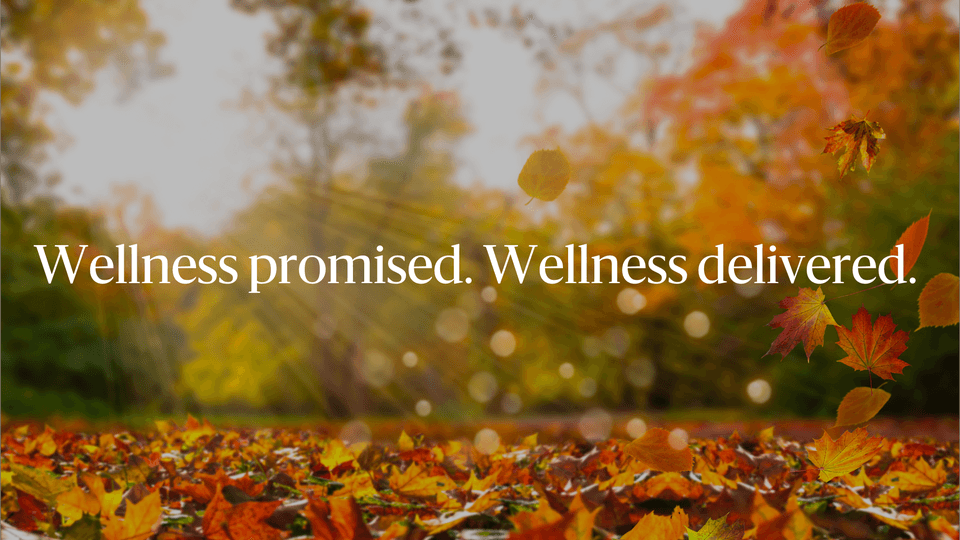 Clearlight cover.png